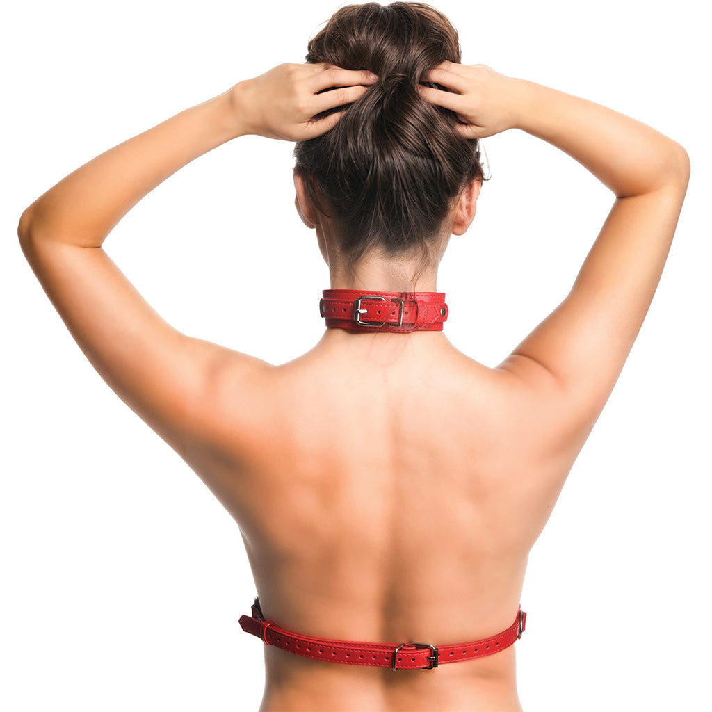 Master Series Vixen Chest Harness in Red Bondage and Fetish > Tools & Accessories - Tophatter Daily Deals